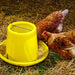 Safe - Guard AquaSol Dewormer for Backyard Chickens, 3ml - I6W4 - 3mL - 1 ct - 7