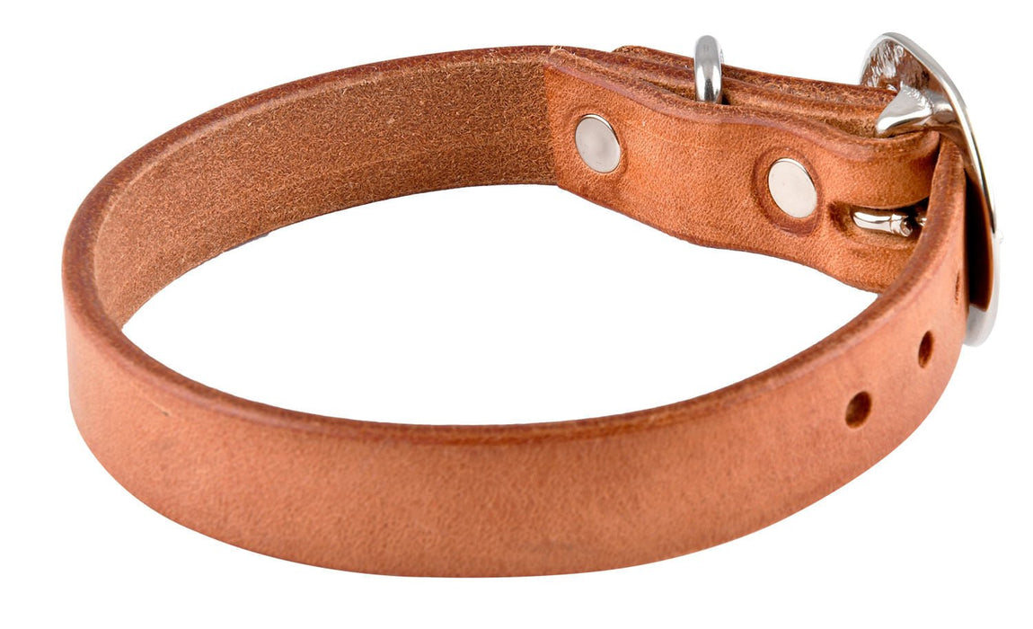 San Saba Dog Collar - SANHQ - 14 in - 4
