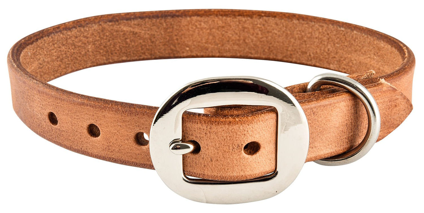 San Saba Dog Collar - SANHU - 22 in - 15