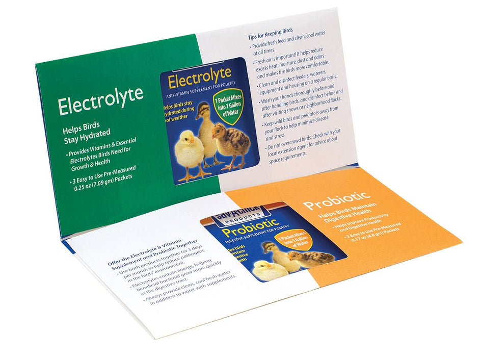 Sav - A - Chick Combo Pack (3 pk) - T5AB - 1