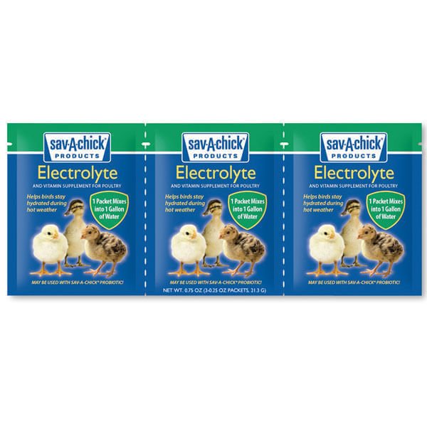 Sav - A - Chick Electrolyte (3 - pack) - T5SC - 1