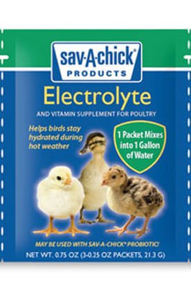 Sav - A - Chick Electrolyte (3 - pack) - T5SC - 2