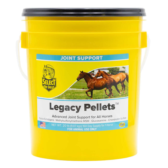 Legacy Advanced Horse Joint Supplement with Glucosamine, MSM, Chondroitin, Yucca, and Vitamins E & C – Pelleted Support for Mobility and Flexibility