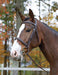 Shires Avignon Ocala Bridle, Havana - SEP1CC - Cob - 7