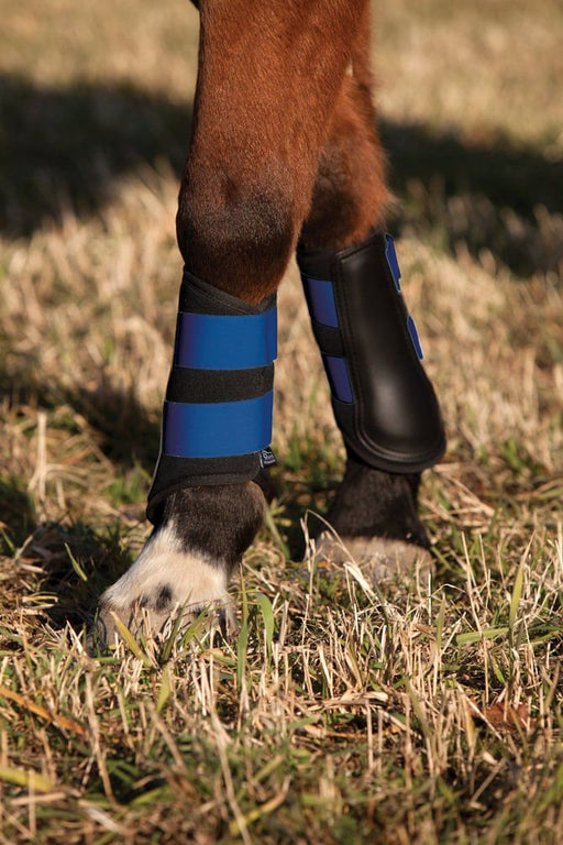 Shires Neoprene Brushing Boots - SEP2S - Black - Cob - 6