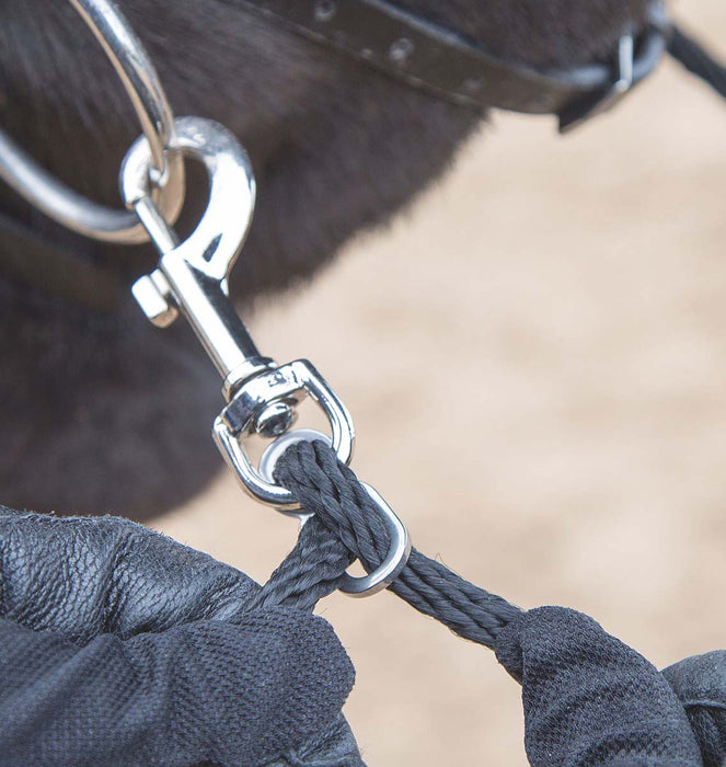 Shires Soft Lunge Aid - SEP1RC - 4