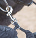 Shires Soft Lunge Aid - SEP1RC - 4