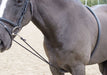 Shires Soft Lunge Aid - SEP1RC - 1