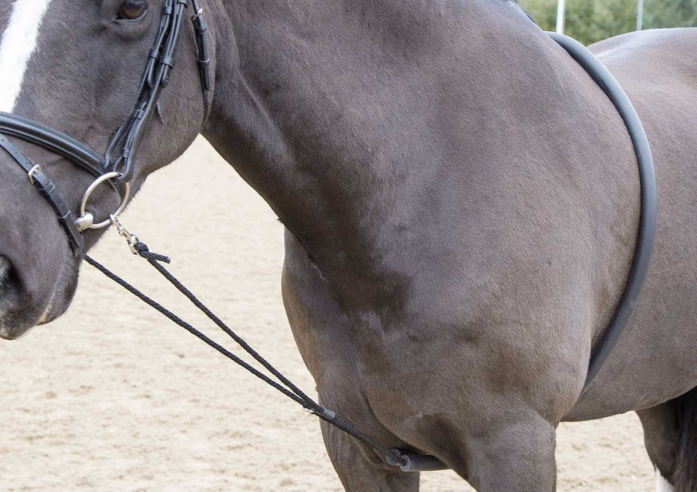 Shires Soft Lunge Aid - SEP1RC - 1