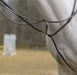 Shires Standing Martingale, Havana - SEP1DB - Cob - 4