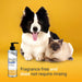 Silver Honey Skin & Coat Care Nourish & Soothe Leave - In Conditioner for Dogs & Cats, 16 oz - Y1VL - 16 fl oz (473 ml) - 1 - 5