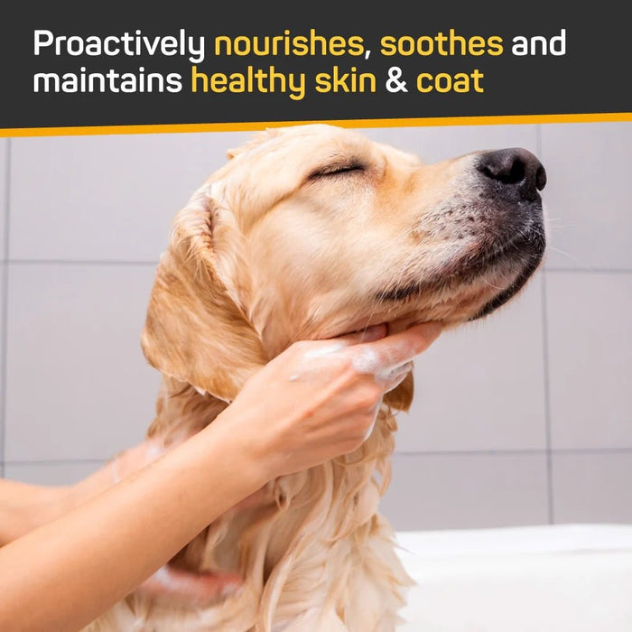 Silver Honey Skin & Coat Care Nourish & Soothe Shampoo with Odor Neutralizer for Dogs & Cats, 16 fl oz (473 ml) Pump Bottle - Y1VK - 16 fl oz (473 ml) - 1 - 3