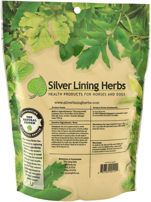 Silver Lining Herbs Kidney Support - HEAF - 2