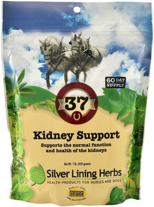 Silver Lining Herbs Kidney Support - HEAF - 1
