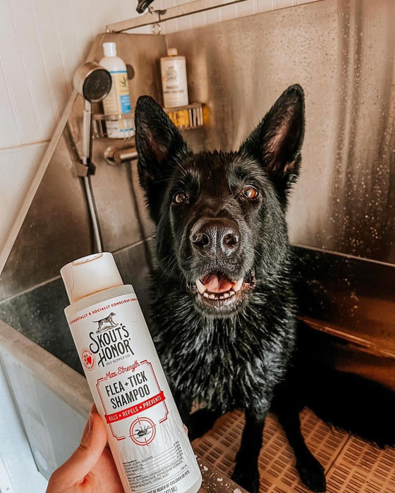 Skout's Honor Flea + Tick Shampoo for Dogs, 16 oz - NWD5 - 16oz - 5