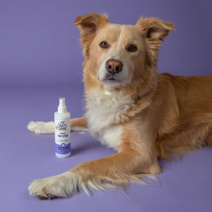 Skout's Honor Probiotic Paw Spray, 8 oz - NWDA - 8oz - 3
