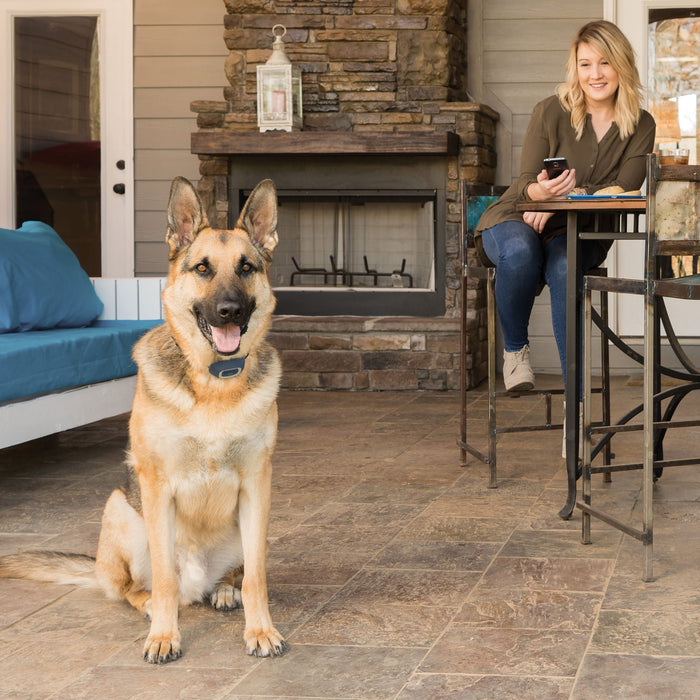 Petsafe Smart Dog Trainer - RP1A - 5