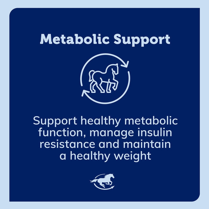 SmartEquine Smart & Simple Chasteberry Pellets - SMAE - 4.5 lbs - 5