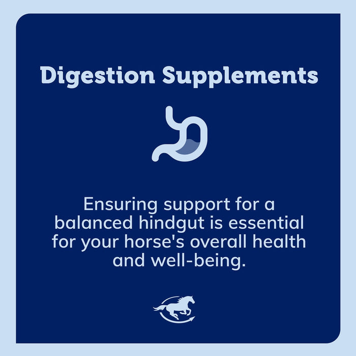 SmartEquine Smart & Simple Psyllium Pellets - SMAAL - 4.4 lbs - 4