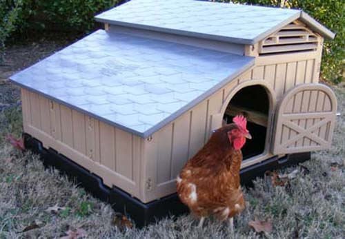 Snap Lock Standard Chicken Coop - FORAB - 3