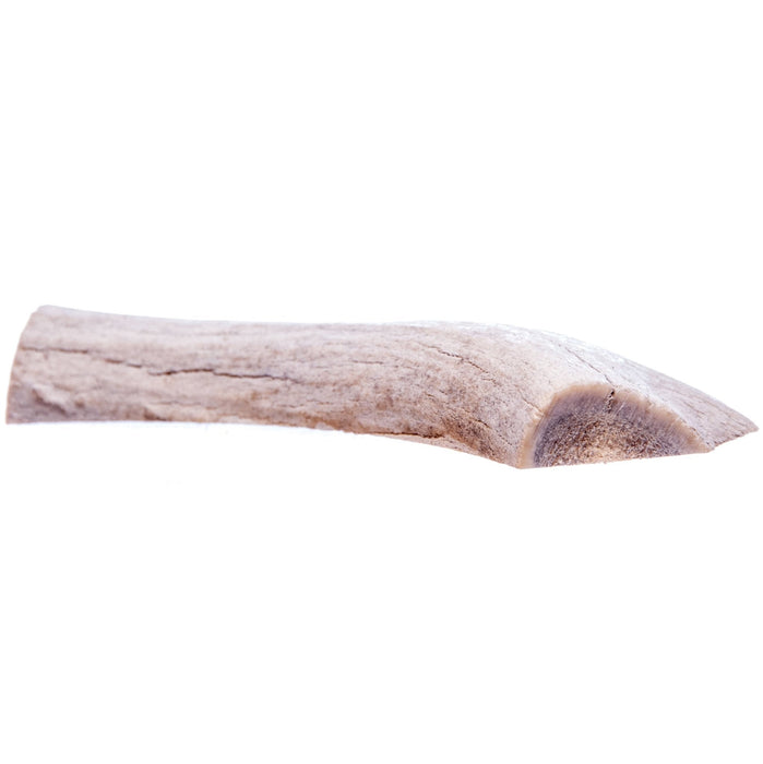 Split Antlerz (The Trew) - QTDAB - Large - 3