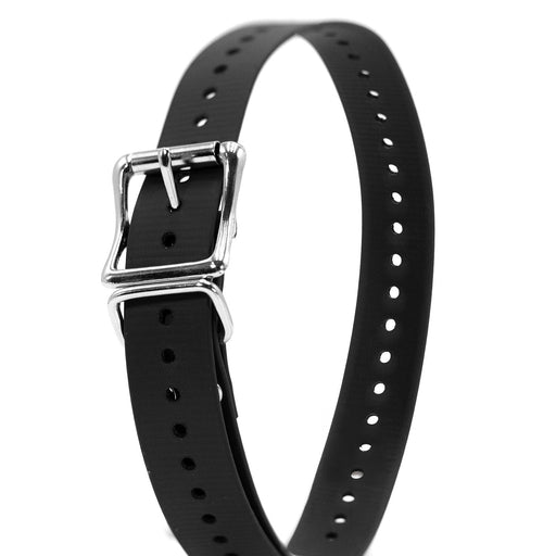 SportDOG Training Collar Strap, 1" x 27" - RP1BC - Black - 1" x 27" - 2