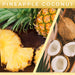 3oz Wax Melts Pineapple Coconut Count 