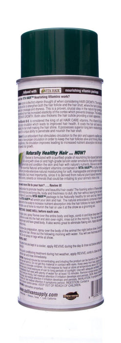 Sullivan's Revive - HAAA - 4