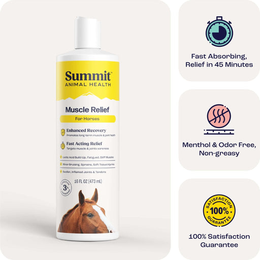 Summit Animal Health - Muscle Relief for Horses, 16 oz - SAH4 - 16oz - 1