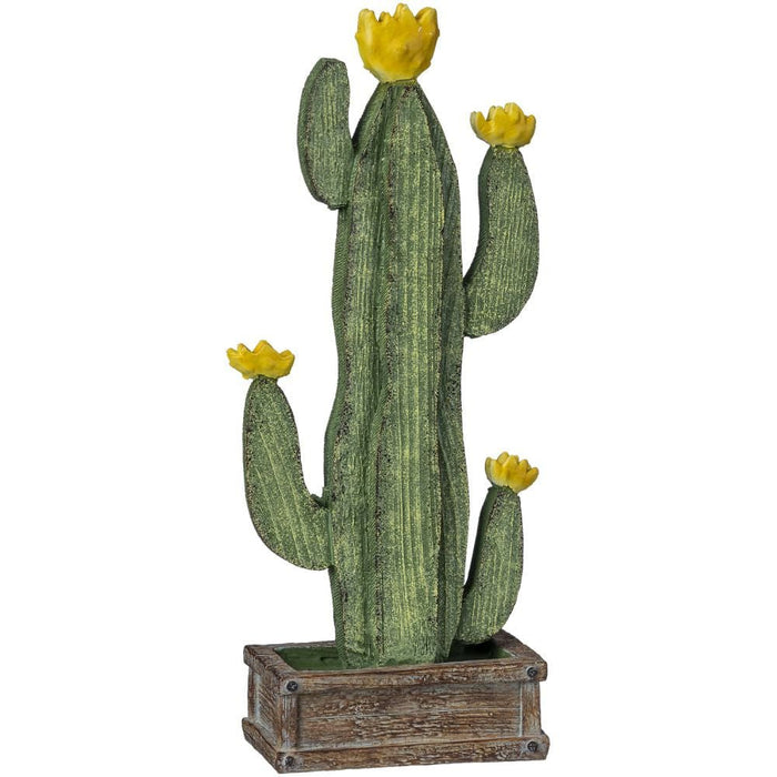 Tabletop Cactus with Yellow Blooms - JTIA9U - 1