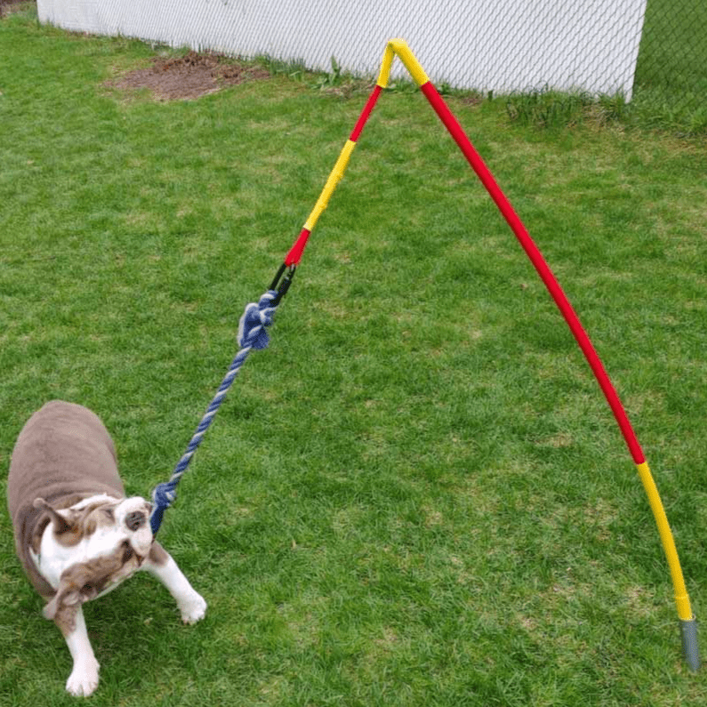 Tether Tug Dog Toy Kit with Base + Knotted Rope Toy - HBLAC - Small - 1