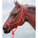 Tough1 Miniature Poly Rope Adjustable Halter - JTIMM - Purple - 1
