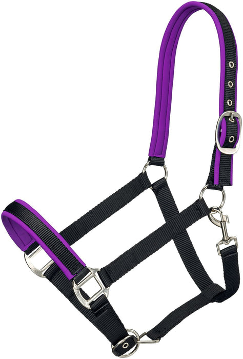 Tough1 Padded Nylon Horse Halter, Full - JTIA2C - Black/Purple - 1