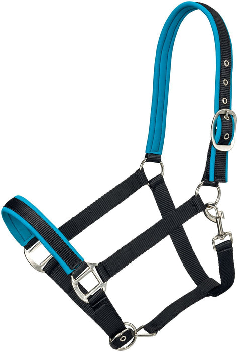 Tough1 Padded Nylon Horse Halter, Full - JTIA2D - Black/Turquoise - 2