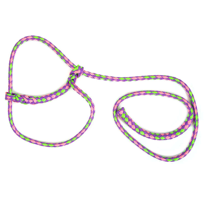 Troyer's Braided Poly Sheep Halter - TYSL - Lime/Pink/Purple - 14