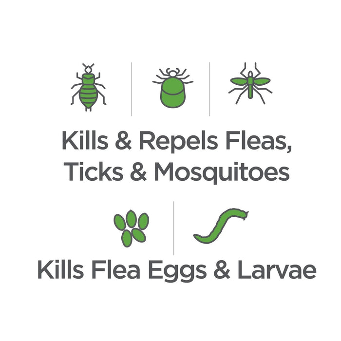 Vetality Naturals Flea & Tick Conditioning Shampoo for Cats Size 8 FL OZ