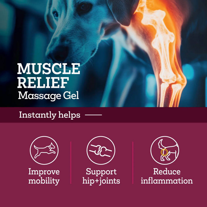 Vetality Muscle Massage Gel Size 3 FL OZ