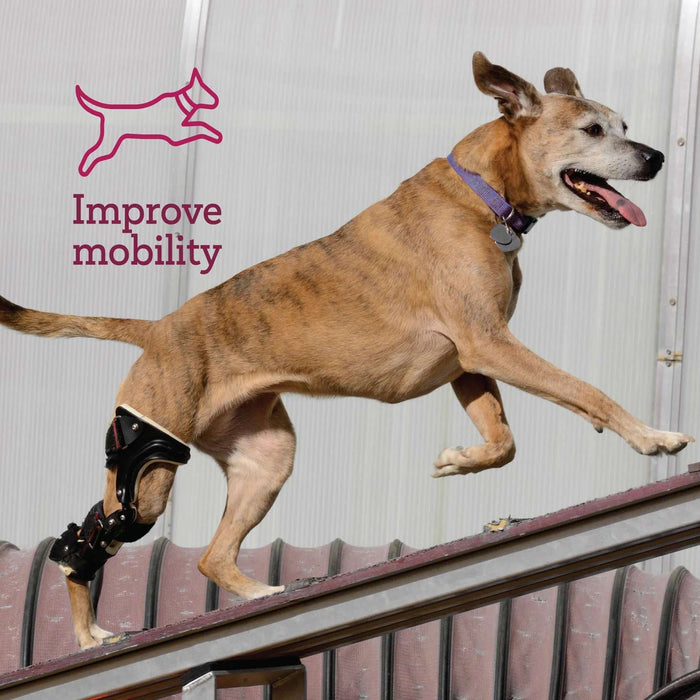 Vetality Muscle Massage Gel Size 3 FL OZ