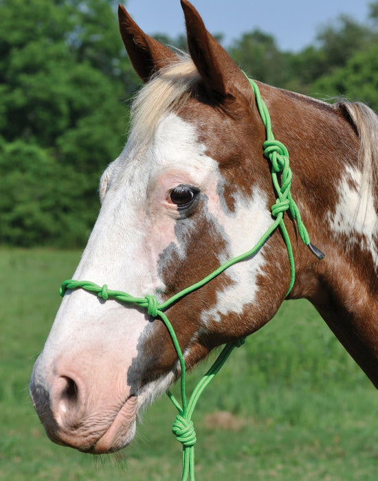 Twisted Poly Rope Halter - 121DU - 1