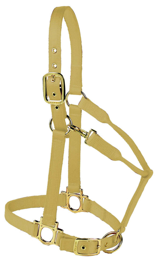 Valhoma Premium Adjustable Nylon Horse Halter - V2DA - Tan - Medium - 3
