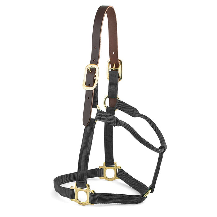 Valhoma Premium Breakaway Nylon Horse Halter with Leather Crown & Brass Hardware - V2EB - Foal - Black - 5