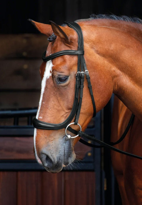 Velociti Rapida Ergonomic Curved Cavesson Leather Horse Bridle – Padded Flash Noseband with Rubber Grip Reins - SEP25N - Black - Cob - 1