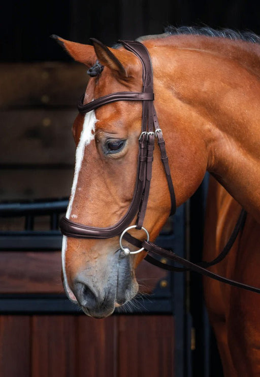 Velociti Rapida Ergonomic Curved Cavesson Leather Horse Bridle – Padded Flash Noseband with Rubber Grip Reins - SEP25R - Brown - Cob - 2