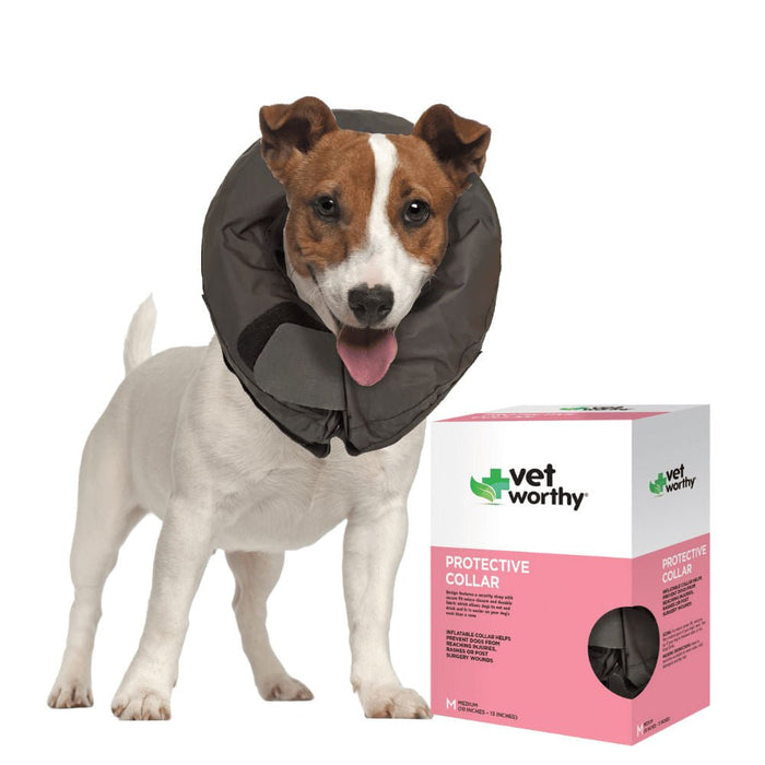 Volality Collars Vet Worthy Inflatable Dog Collar, Black, XS-XL — Pet Supplies 4 Less