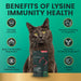 Vetri Lysine Plus for Cats, 120 Bite - Sized Chews - 015VS01-120 - 4