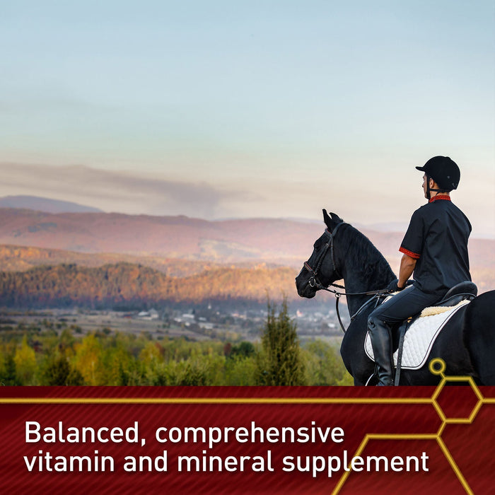 Vita Flex Pro Accel Health & Wellness Formula, Supplement for Horses - FA5L - 5lbs - 7