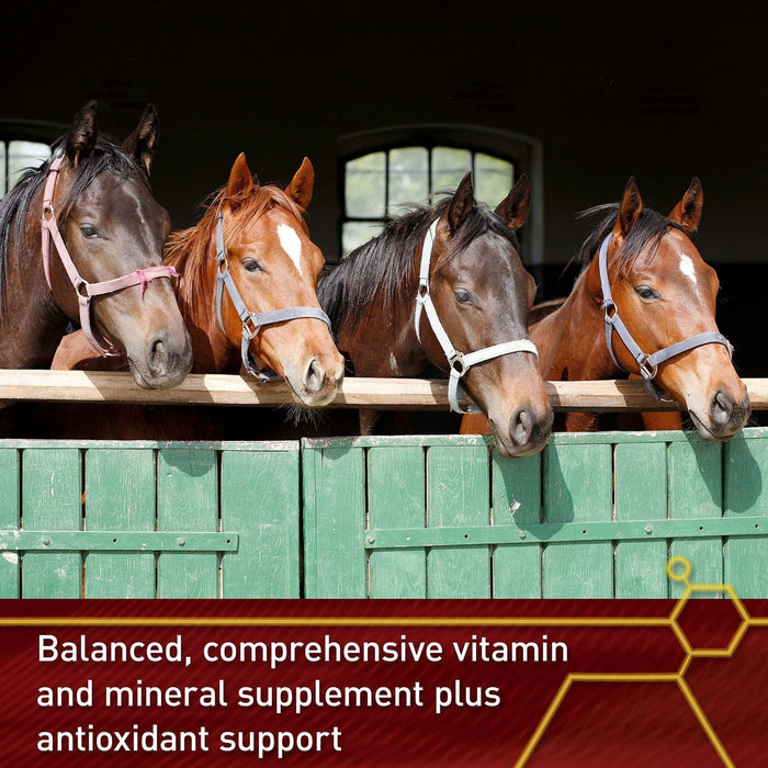 Vita Flex Pro Accel Lifetime Health & Wellness Formula Supplement for Horses - FA5Q - 5lbs - 5