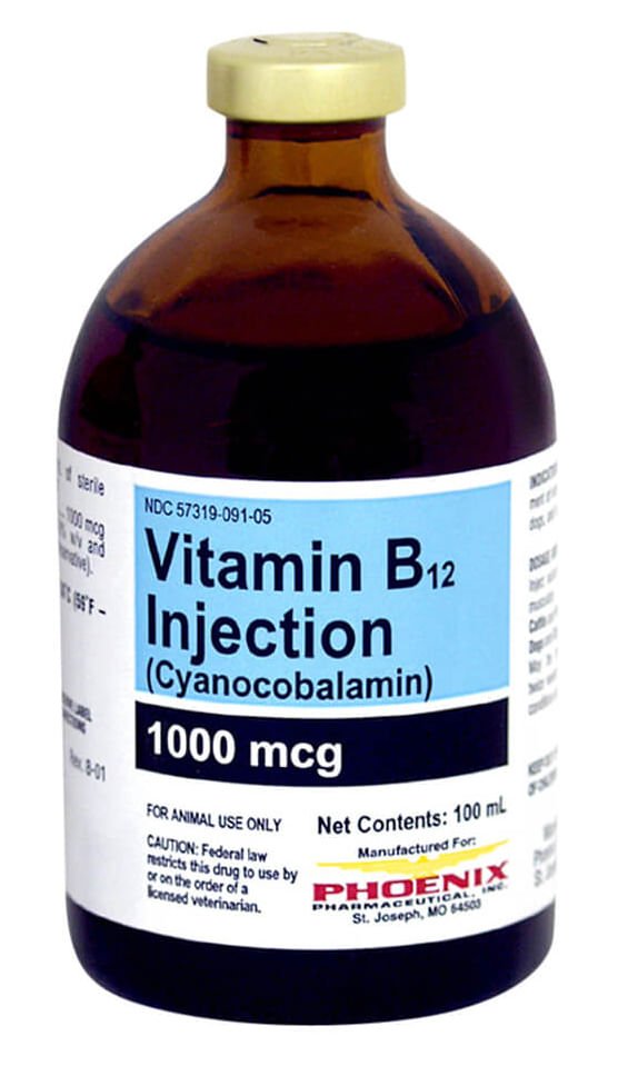 b12 foot injections near me Fat Burning B12 Injections in Smyrna, GA main image 0