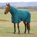 WeatherBeeta ComFiTec Classic Combo Neck Heavyweight Turnout Blanket for Horses, 360g - Waterproof, Breathable & Full Coverage - KOBAW - Green - 66" - 360 g - 1