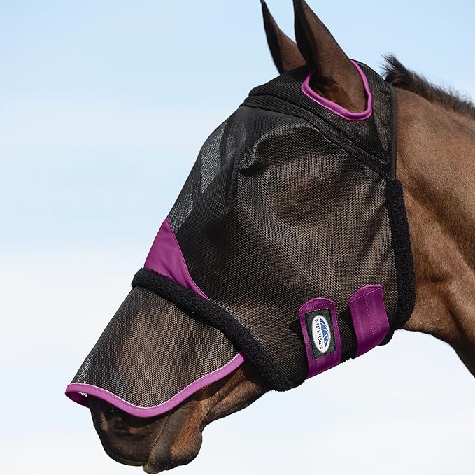 Weatherbeeta ComFITec Durable Mesh Horse Fly Mask with Nose, Black & Purple - 0V5TH - Full - Black/Purple - 1